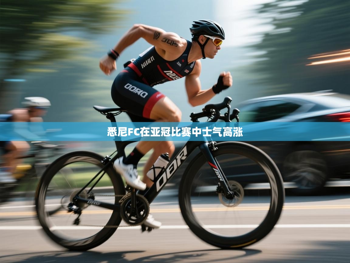 悉尼FC在亚冠比赛中士气高涨  第2张