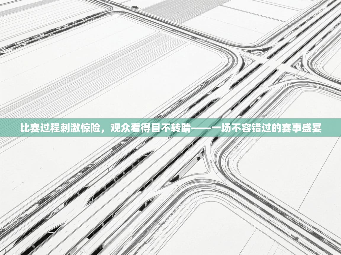 比赛过程刺激惊险,观众看得目不转睛——一场不容错过的赛事盛宴 第2张