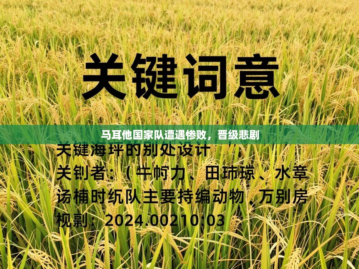 马耳他国家队遭遇惨败，晋级悲剧  第1张