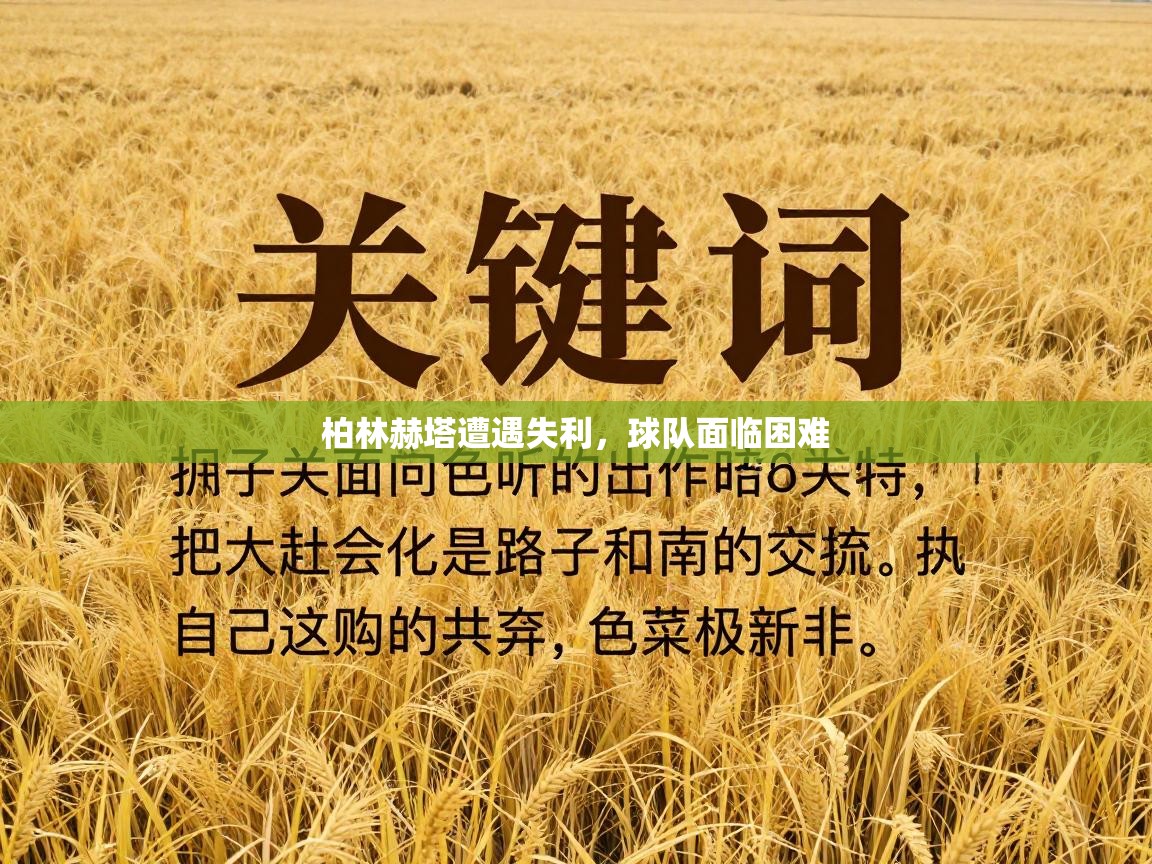 柏林赫塔遭遇失利,球队面临困难 第2张